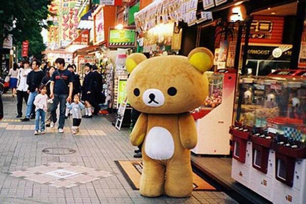 5fdc539928a59.jpg 5fdc539928a59.jpg