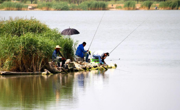 627a2b73b7cff.png 627a2b73b7cff.png