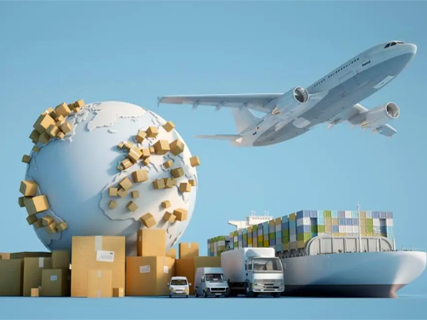 66752d457ecf8.png 66752d457ecf8.png