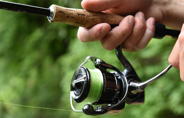 667e68dd92874.png 667e68dd92874.png